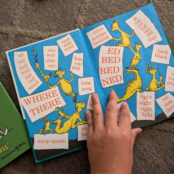 Dr Seuss bundle books..green eggs and ham, foot book, hop on pop, Bernstein b bo - Picture 9 of 16